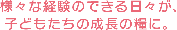 様々な経験のできる日々が、子どもたちの成長の糧に。